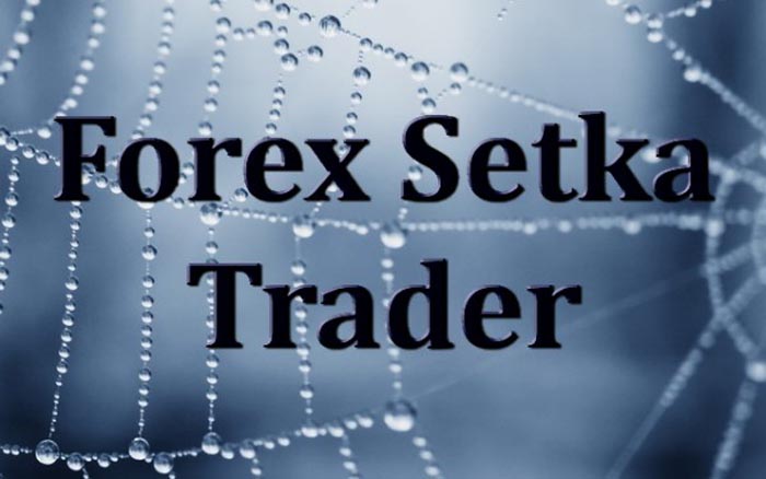 Forex Setka Trader